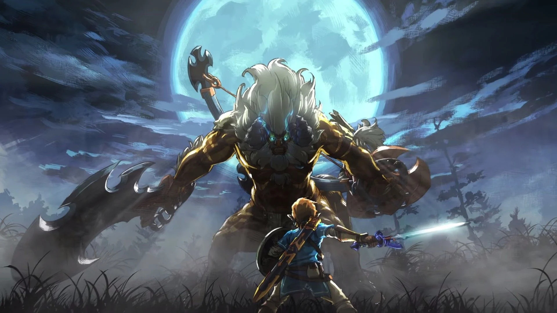 Banner do jogo Link (Zelda)